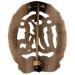 DRL Bronze Sports Badge